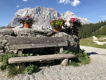 Bench and plants in park against sky