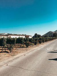 Road by trees against blue sky