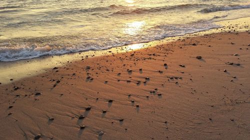 Scenic view of beach