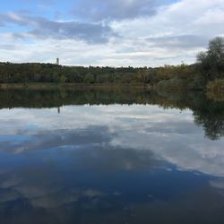 Reflection of trees in calm lake