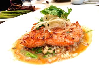 Close-up of seafood in plate