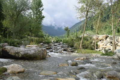 Scenic view of rocks in forest against sky