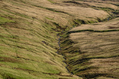 Scenic view of landscape