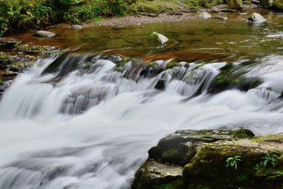 Waterfall in forest