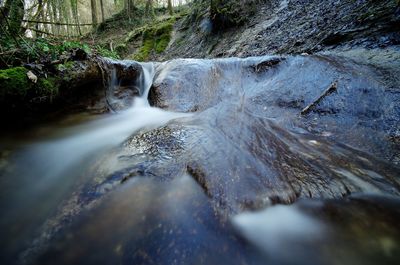 Stream flowing in forest