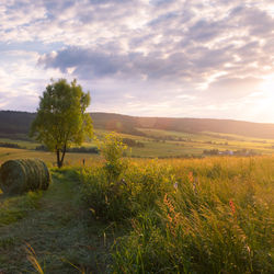 Scenic view of field against sky during sunset
