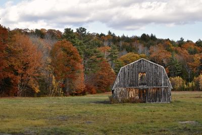 Trees on field against sky during autumn