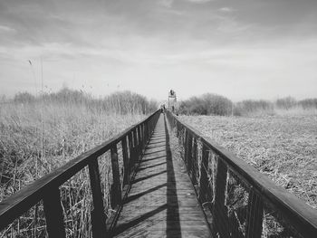 Narrow pathway along landscape