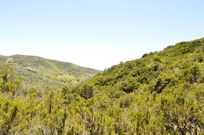 Scenic view of mountains against clear sky