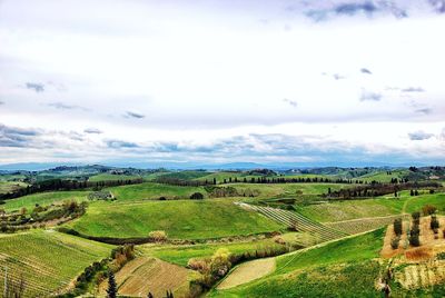 Scenic view of agricultural field against sky