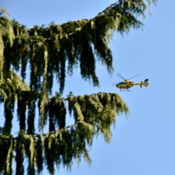 Low angle view of tree by helicopter in clear sky