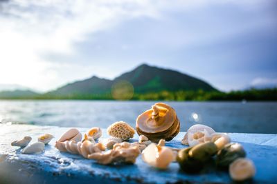Close-up of water on mountain against sky