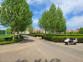 Road amidst trees in city against sky