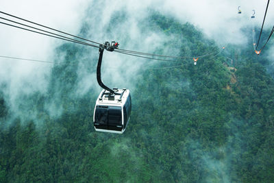 High angle view of overhead cable car against trees