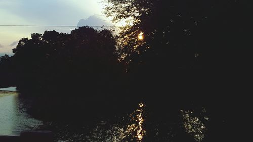 Reflection of trees in water