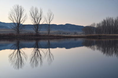 Scenic view of lake by trees against sky