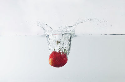 Close-up of berries on glass against white background