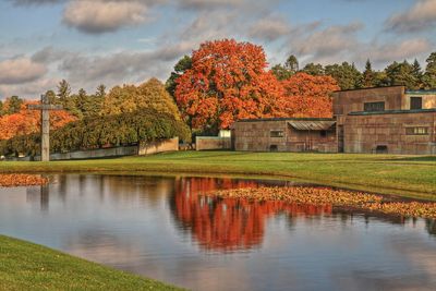 Reflection of trees in water