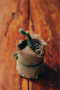 Close-up of lizard on wood