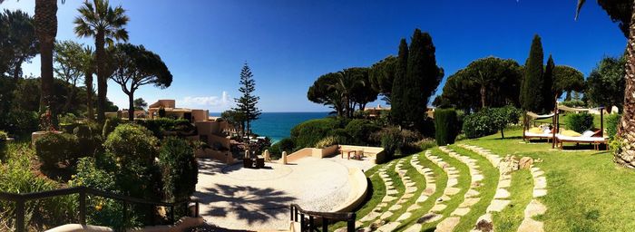 Panoramic shot of palm trees on beach against clear sky