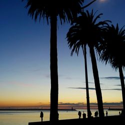 Silhouette palm trees on beach against sky during sunset