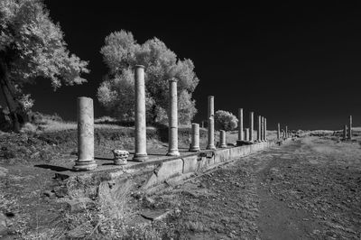 View of trees at night