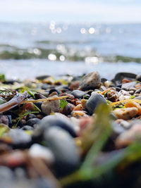 Close-up of stones on beach