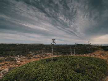 Scenic view of land against sky