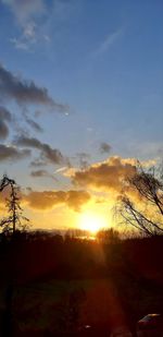 Silhouette trees on field against sky during sunset