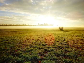 Scenic view of field against sky during sunset