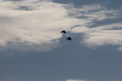 Low angle view of airplane flying in sky