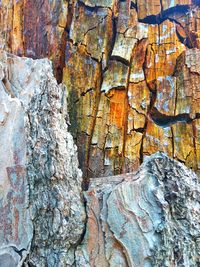 Full frame shot of rock on tree trunk