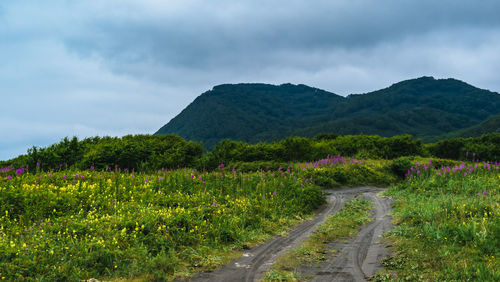 Road amidst field against sky