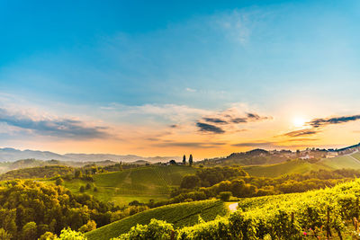 Scenic view of landscape against sky during sunset