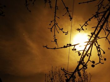 Low angle view of silhouette trees against sky during sunset