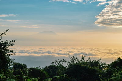 Mount kilimanjaro seen from miriakamba hut, arusha national park, tanzania 