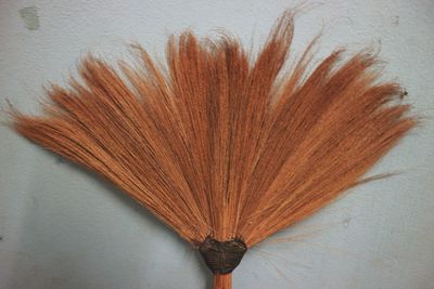 High angle view of feather on table against wall