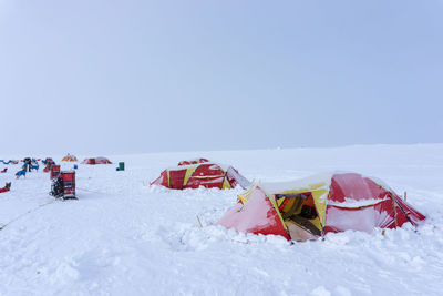 Freezing camp during a dog-sledding expedition