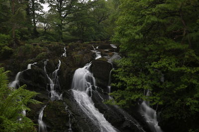 Scenic view of waterfall in forest