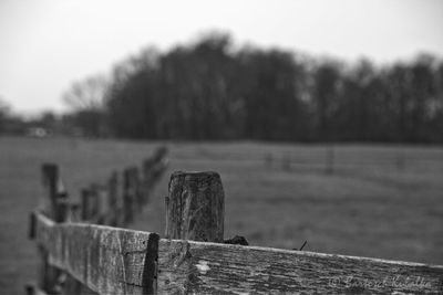 Close-up of wooden post against sky