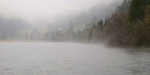 Scenic view of trees during foggy weather