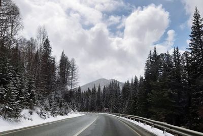 Road amidst trees against sky during winter