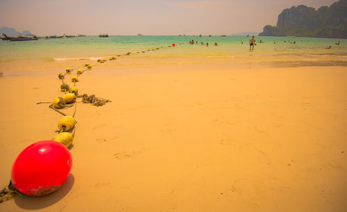 Scenic view of beach