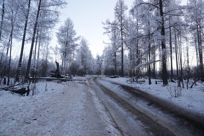 Snow covered road passing through trees