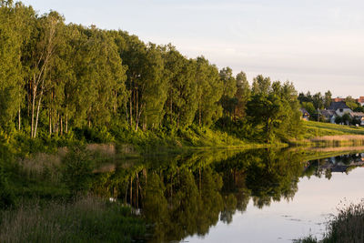 Scenic view of lake by trees against sky