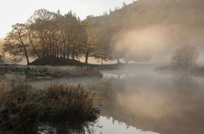 mist