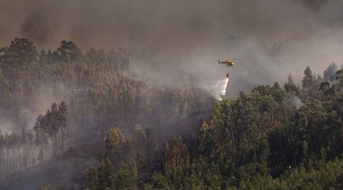 Firefighter helicopter fighting against a forest fire during day in braga, portugal.