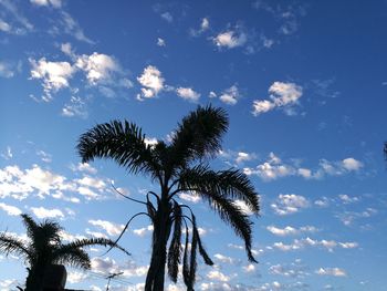 Low angle view of palm tree against sky