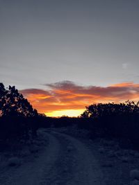 Road amidst silhouette trees against sky at sunset