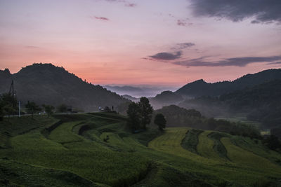 Scenic view of field against sky during sunset